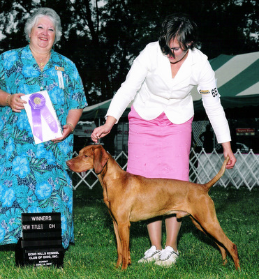 miami valley vizsla club